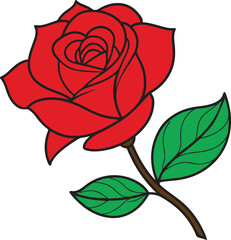 red rose hand drawn Vector cut out illustration clipart isolated on transparent background.
