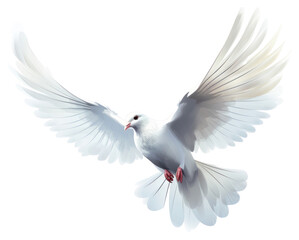 PNG Animal flying white bird.