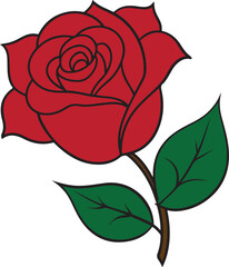 red rose hand drawn Vector cut out illustration clipart isolated on transparent background.