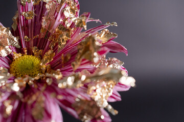 Flower from another planet
