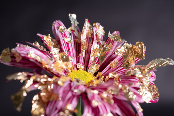 Flower from another planet