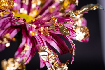 Flower from another planet