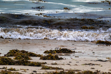 Seaside and waves, beach with sand, water, shell