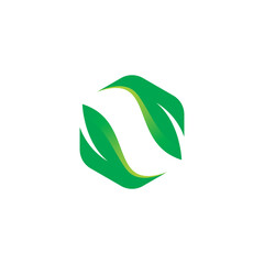 Hexagon Leaf Logo Vector. Nature Leaf Logo
