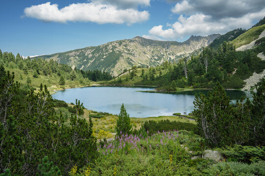 Beautiful Rybno Vasilashko Lake and Kaimakchal Peak in Pirin, July shot of the high altitude lake and one of the highest mountains of the Yulen Reserve.