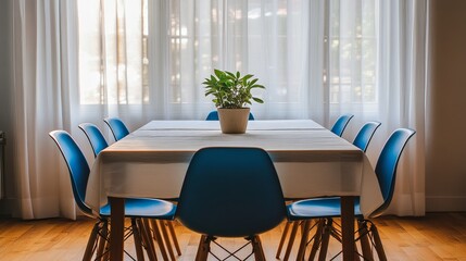 Fototapeta premium Empty Dining Room with Blue Chairs Plant and White Curtains Sunlight Illuminates the Wooden Floor Minimalist Perspective
