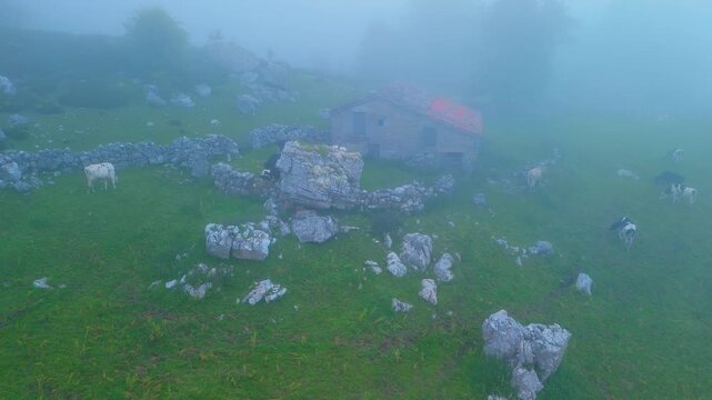 Fog in the spring landscape of pastures and Pasiegas cabins in the Natural Park of the Collados del As&oacute;n. Aerial view from a drone. Hills of Ason Natural Park. Soba Valley, Cantabria, Spain, Europe