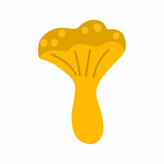 Chanterelle mushrooms on white background.  element of decor of  autumn postcard.