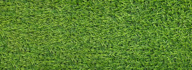 Green artificial grass as background, banner design