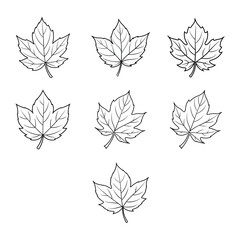 Vector line art and hand drawing flower art black and white flat design simple flower.