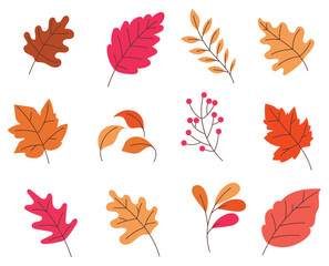 Organic Autumn Leaves collection, element vector