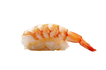 Single piece of sushi shrimp, showing balance, isolated on white background.