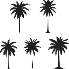 Fototapeta premium palm silhouettes vector