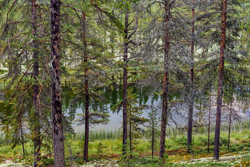 View from the area of Folldal and the Kroktj&oslash;nna Lakes, Norway, in August.