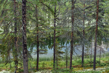 Obraz premium Images from the area of Folldal and the Kroktjønna Lakes, Norway, in August.