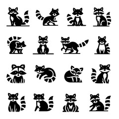Raccoon Illustration Collection