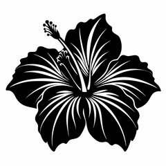 A hibiscus silhouette vector illustration