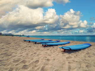 A sunny say at the ala moana beach and spotting a view surf boards