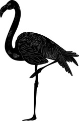 Flamingo Natural Look Black Vector Silhouette Design Element