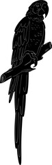 Macaw Natural View Black Vector Silhouette Design Element
