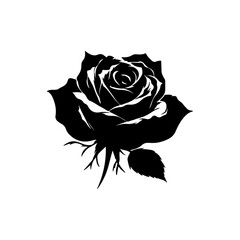 Rose Silhouette black 
