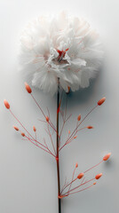 Close-up of an ethereal white flower with intricate petals and delicate orange buds on a minimalist background