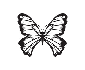 butterfly icon with hand drawn style