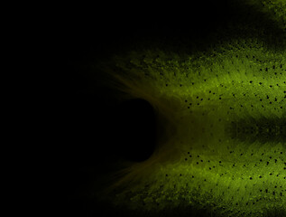 Imaginatory fractal abstract background Image