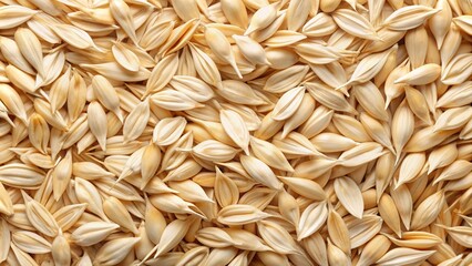 Oaty Abstract: Experimental, abstract, oat shapes and textures, white and beige tones