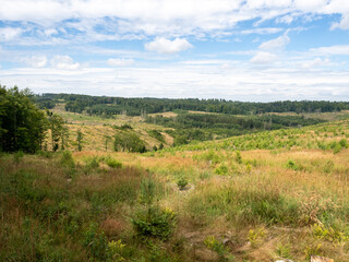 Naklejka premium Sauerland