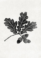 Autumn folk poster of oak branch with acorns and leaves, trendy seasonal illustration, Fall, black and white © Lisa