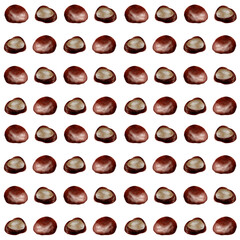 Chestnut watercolor seamless pattern autumn fall
