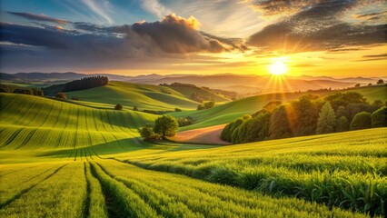 Obraz premium Golden hour casts a warm glow on a lush green field of crops swaying gently in the breeze as the sun sets behind rolling hills.