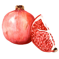 Handdrawn watercolor ripe pomegranate