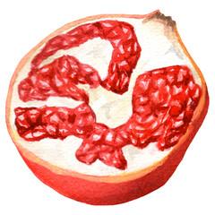 Handdrawn watercolor half of pomegranate