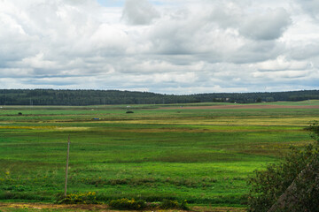Fototapeta premium Green fields in the village. Cloudy sky over the fields. Highway in the distance