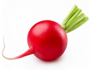Isolated radish against a white backdrop