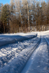 Sunny morning in a winter snowy forest. Frosty morning. Frost falls from the trees. The ski track is covered with snow.