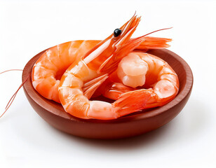 shrimp solitary against a white backdrop