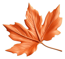 PNG Leaf plant tree fragility.