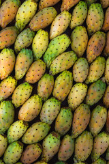 Opuntia prickly pear cactus repetitive patterns perfect summer fruit