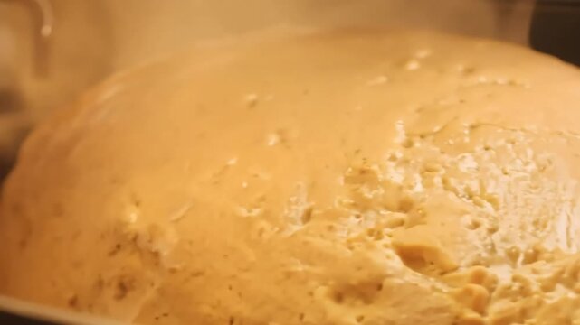 Golden Yeast Dreams: Freshly kneaded dough rises in a warm embrace, promising a delicious culinary creation. 