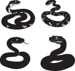 Fototapeta premium Anaconda Snake Silhouette Vector