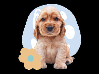 Blue Doodle Circles with Orange Flower