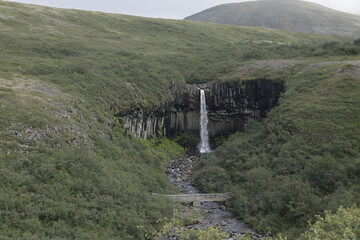 svartifoss waterfall, iceland