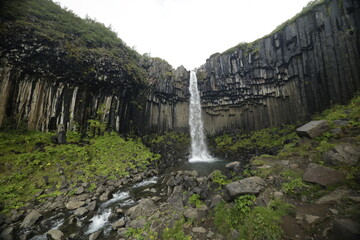 svartifoss waterfall, iceland