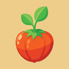 illustration of a tomato
