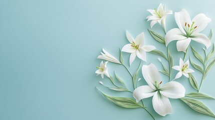 Fototapeta premium A serene composition of white lilies and green leaves on a soft blue background.
