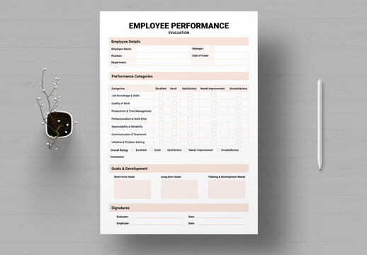Employee Performance Evaluation