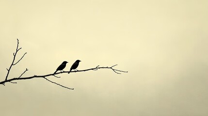 A minimalist photograph of two birds on a branch, set against a plain background, creating a serene and tranquil scene.